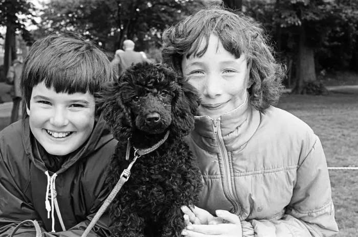 Framed Print : The dog with a waggiest tail, the friendliest face and best legs went on show Framed Print : The dog with a waggiest tail, the friendliest face and best legs went on show