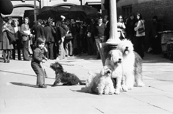 The dog that has to yawn to order. March 27th 1973 An audition took place in Broad