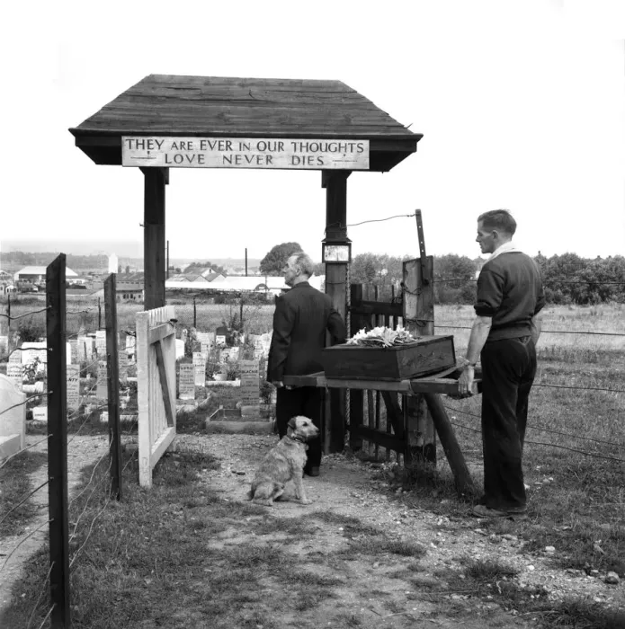 Framed Print : Dogs Cemetery at P. D. S. A. Centre, Woodford, Essex. August 1952 C4044 Framed Print : Dogs Cemetery at P. D. S. A. Centre, Woodford, Essex. August 1952 C4044
