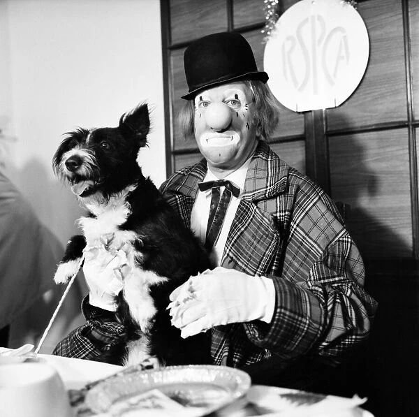 Dogs Christmas Party. Hobo plays host to the doggy guests enjoying a menu of