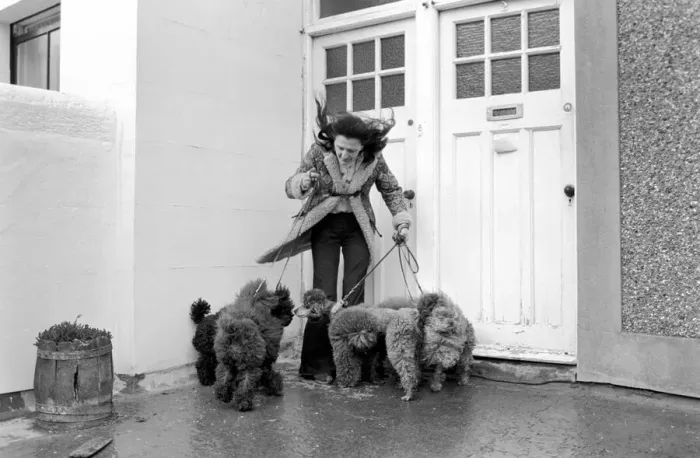 Framed Print : Dogs evicted. Mrs. Fay Hughes. January 1975 75-00437-006 Framed Print : Dogs evicted. Mrs. Fay Hughes. January 1975 75-00437-006