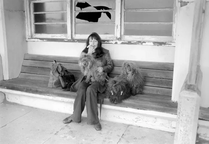 Framed Print : Dogs evicted. Mrs. Fay Hughes. January 1975 75-00437 Framed Print : Dogs evicted. Mrs. Fay Hughes. January 1975 75-00437