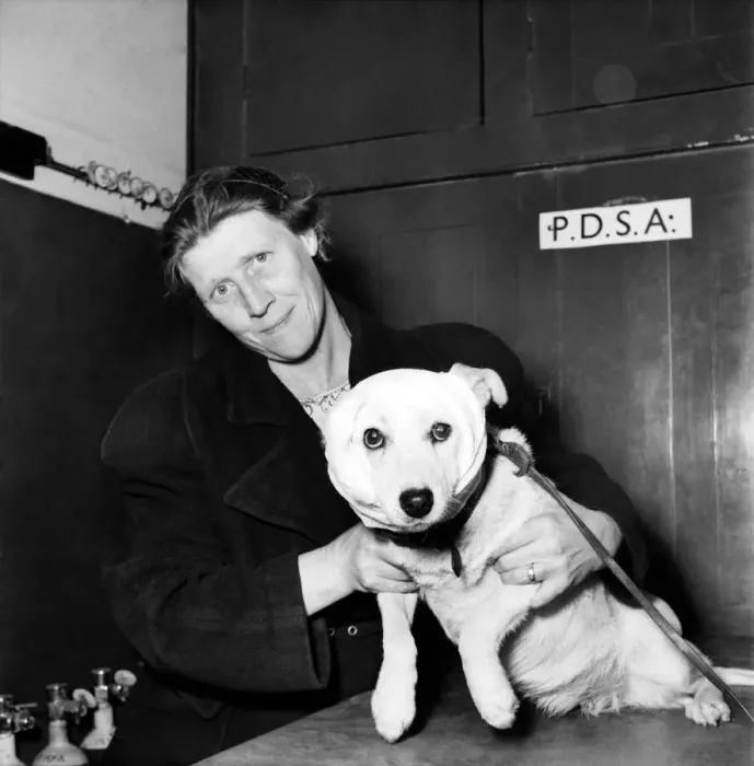 Framed Print : Dogs at the P. D. S. A. Centre, Woodford, Essex. August 1952. C4044-003