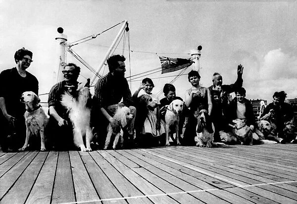 Some of the Dogs who emigrated with their owners to Australia seen here on Board The