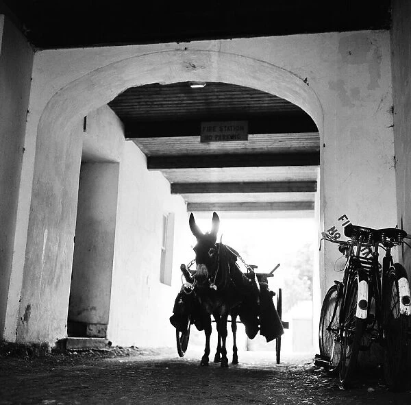 Donkey and cart waiting outside the Glencolumbkille fire station in County Donegal 7th