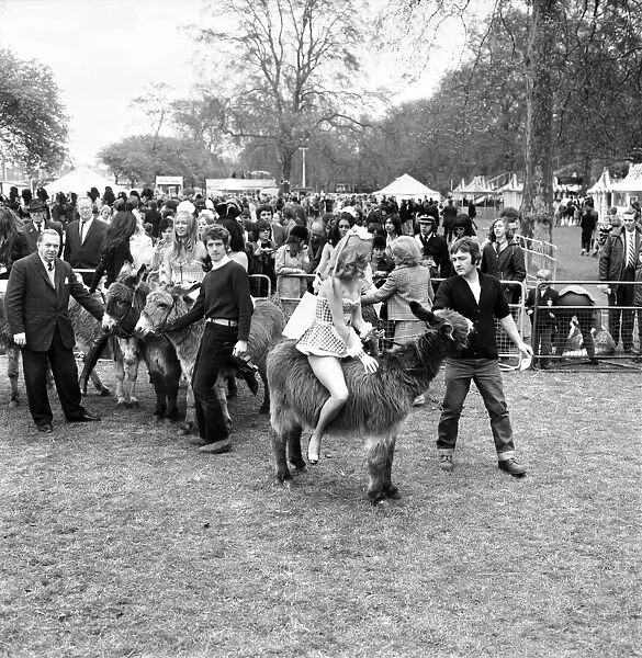 Donkey Derby held for charity at Festival Gardens. April 1972 72-04585-003