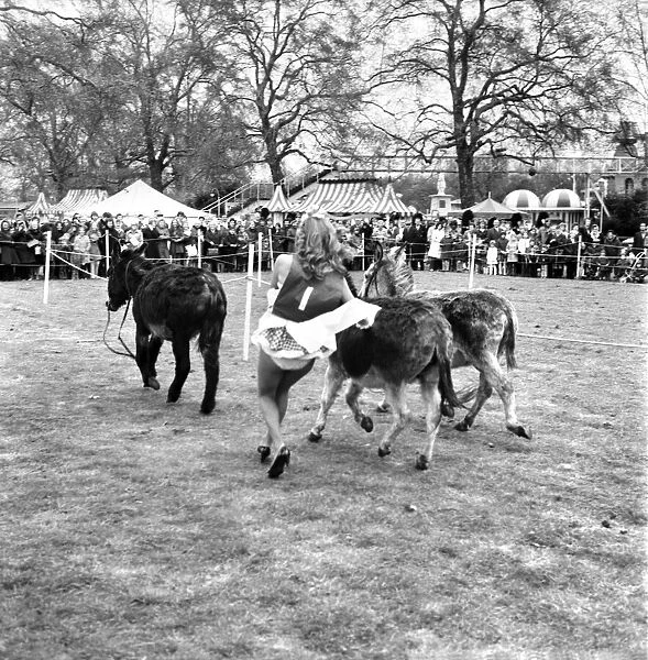Donkey Derby held for charity at Festival Gardens. April 1972 72-04585-009