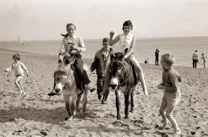 Framed Print : Donkey rides on Exmouth Beach Children childhood Holidaymakers
