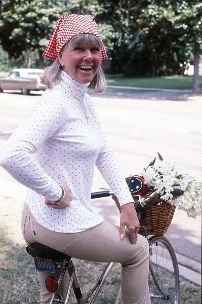 Doris Day actress 1980