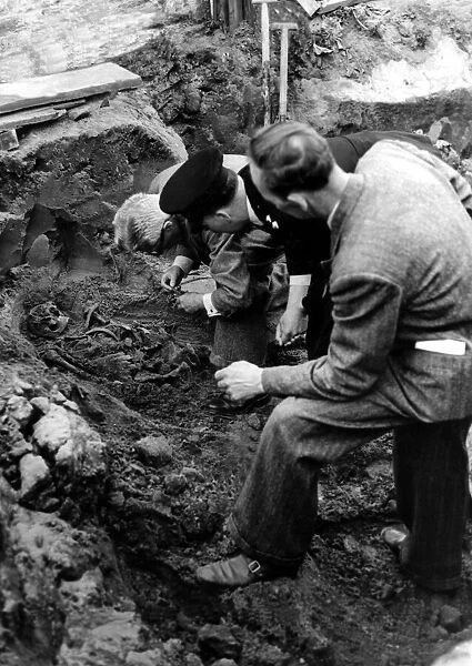 Dr G E Stephenson the Newcastle pathologist seen examining one of three skeletons which