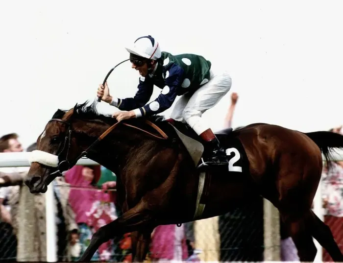 Framed Print : Drum Taps ridden by jockey Frankie Dettori wins at Royal Ascot - June 1993 Framed Print : Drum Taps ridden by jockey Frankie Dettori wins at Royal Ascot - June 1993