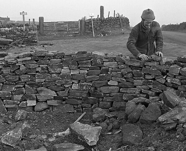 Dry stone walling high on the Cumbria fells Circa 1975 Reve 3731