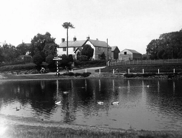 The Duck Pond, a well know spot on the Mouldworth- Delamere Forest Road, Cheshire