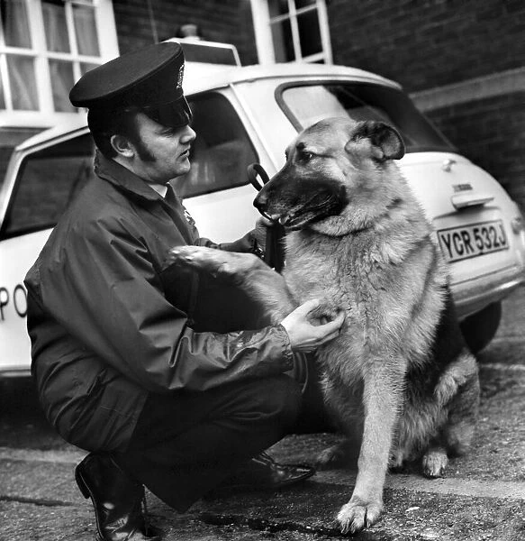 Duke an 8 year old police dog pictured with his handler P. C