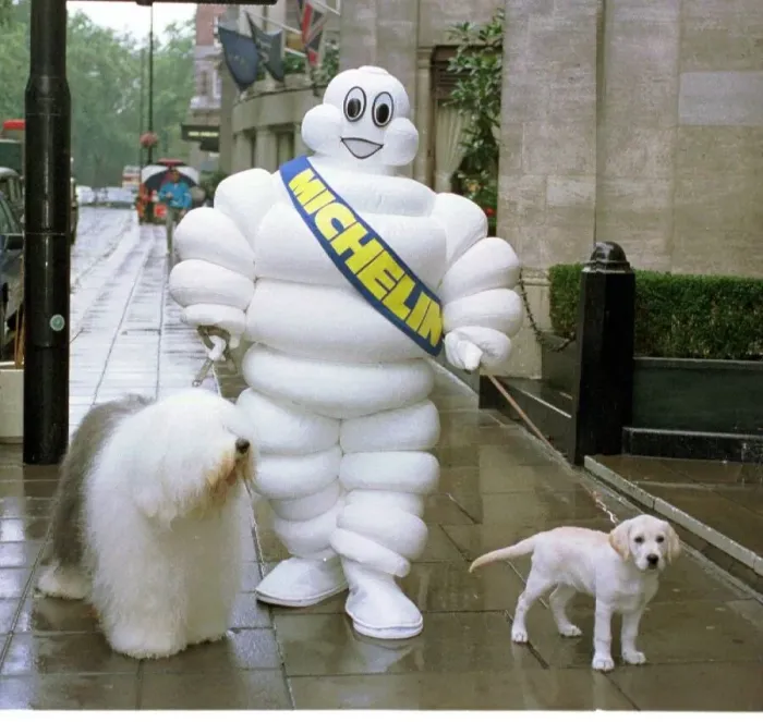 Framed Print : The Dulux Dog (L) Mr Michelin And The Andrex Puppy (R) Three Images Go For A Walk Framed Print : The Dulux Dog (L) Mr Michelin And The Andrex Puppy (R) Three Images Go For A Walk