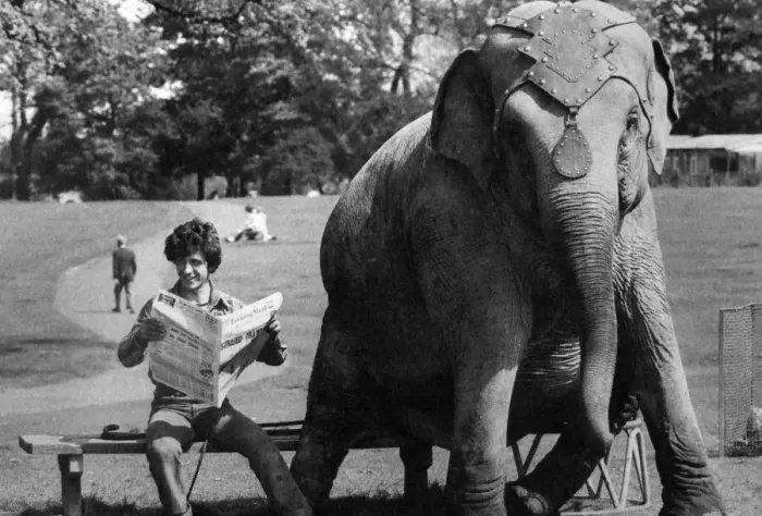 Framed Print : Dum-Dum the elephant has decided to take a well earned rest from the circus hurly-burly