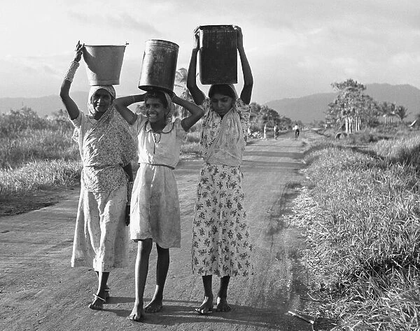 Three East Indian women carrying water back to the workers in the sugar fields of