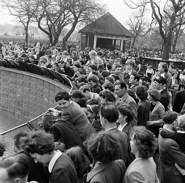 Easter Crowds at London Zoo. April 1952