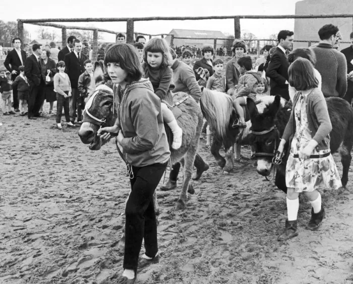 Framed Print : Easter Monday at Coventry Zoo. The pony rides were popular drawing the longest queues Framed Print : Easter Monday at Coventry Zoo. The pony rides were popular drawing the longest queues