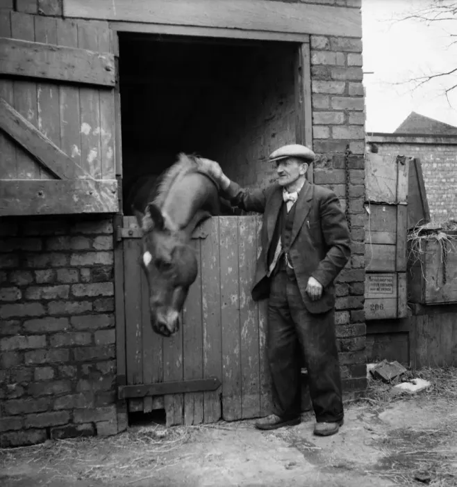 Framed Print : Eccentric millionaire Bob Hiddle patting his horse at his stable Framed Print : Eccentric millionaire Bob Hiddle patting his horse at his stable