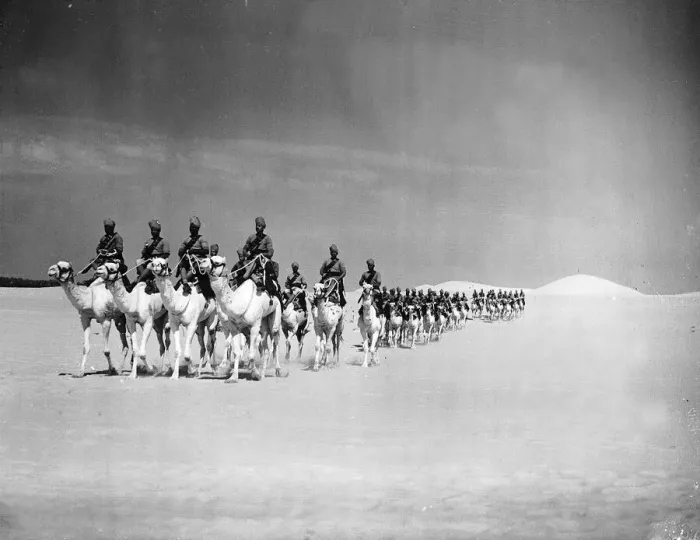 Framed Print : Egyptian Camel Corps Army Framed Print : Egyptian Camel Corps Army