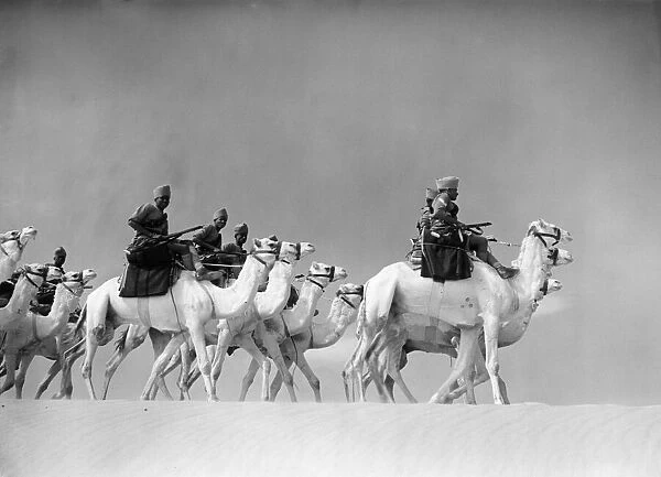 Egyptian camel corps train in the desert. 1940