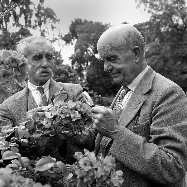 Two elderly men with flowers at a home for retired gardeners at Barton