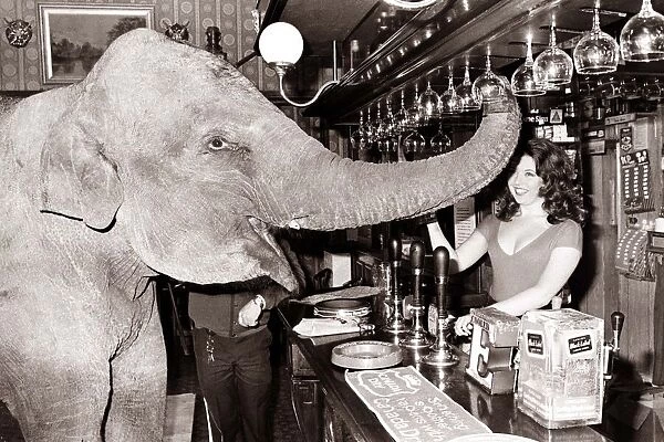 An elephant puts in his regular order at the pub circa 1971