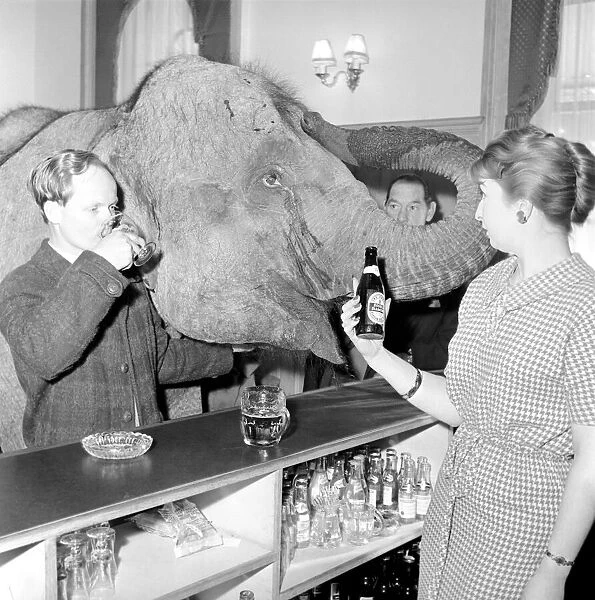 Elephant visit pub and orders drinks. 1960 C34B