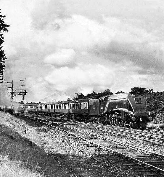 The Elizabethan at speed, on 10th January 1956, headed by Class A4 locomotive Gannet