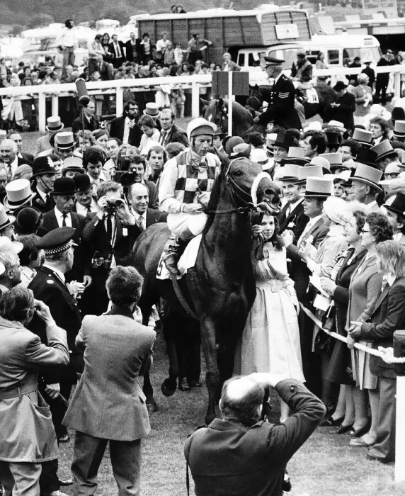 Framed Print : Empery Racehorse enters the winners enclosure with Jockey Lester Piggott on board Framed Print : Empery Racehorse enters the winners enclosure with Jockey Lester Piggott on board