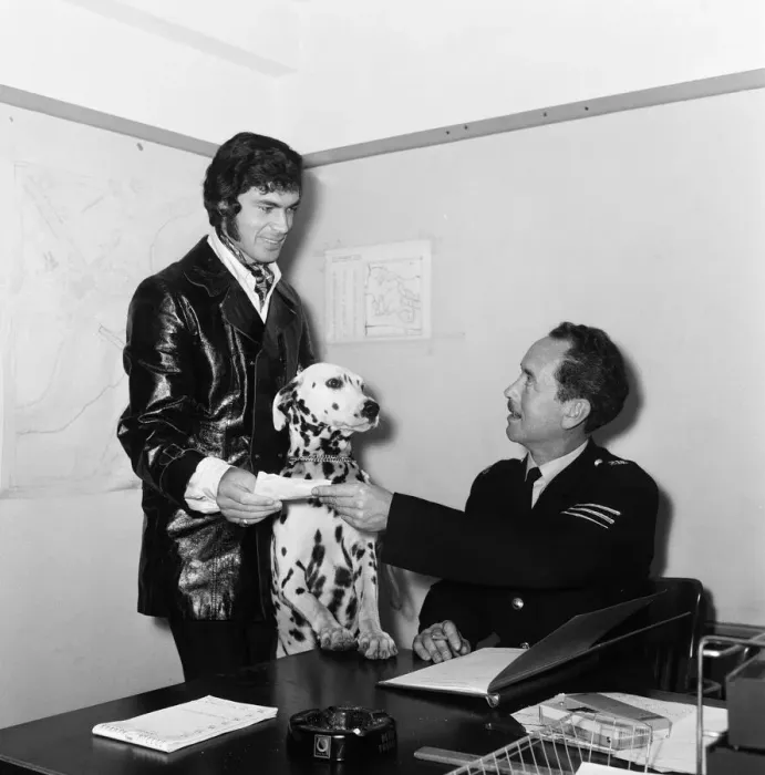 Framed Print : Engelbert Humperdinck collects his Dalmatian dog Cheb Framed Print : Engelbert Humperdinck collects his Dalmatian dog Cheb