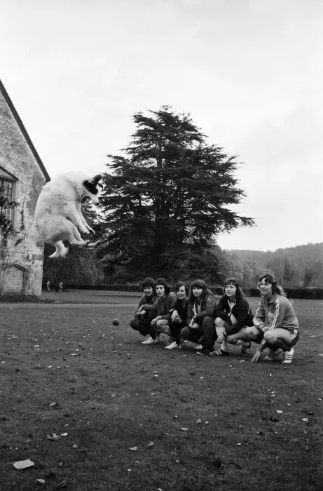 Framed Print : The England womens football team who are to play Holland training at Bisham Abbey Framed Print : The England womens football team who are to play Holland training at Bisham Abbey