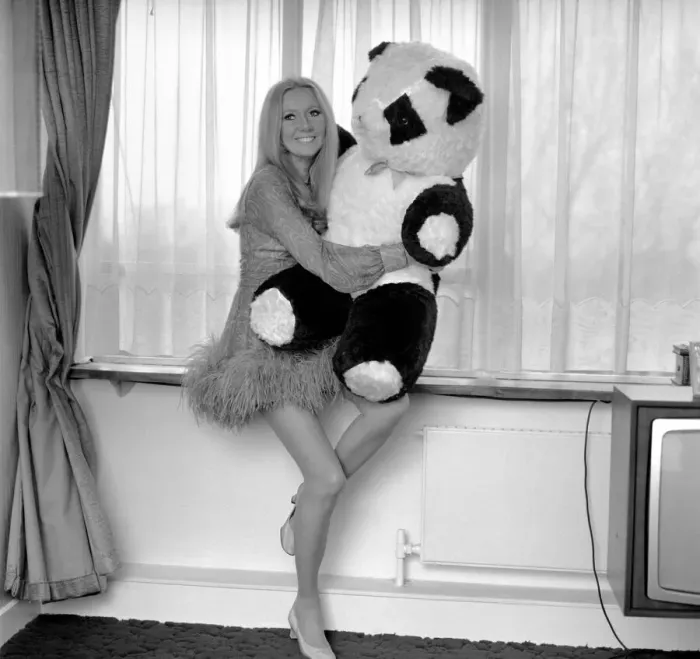 Framed Print : Entertainment television: Presenter Clodagh Rodgers at her home in London with her cuddly