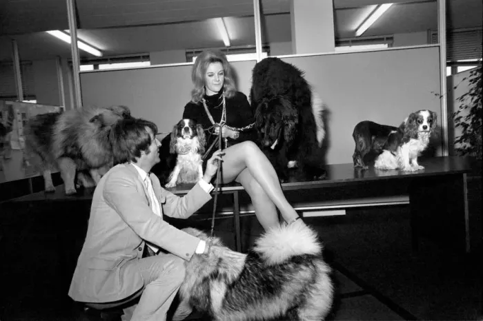 Framed Print : Entertainment Television: Today Thames Television were auditioning for a girl