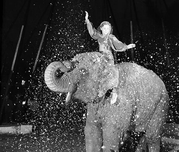 Entertainments: Circus Animals. Birmia the ten year old female elephant is the '