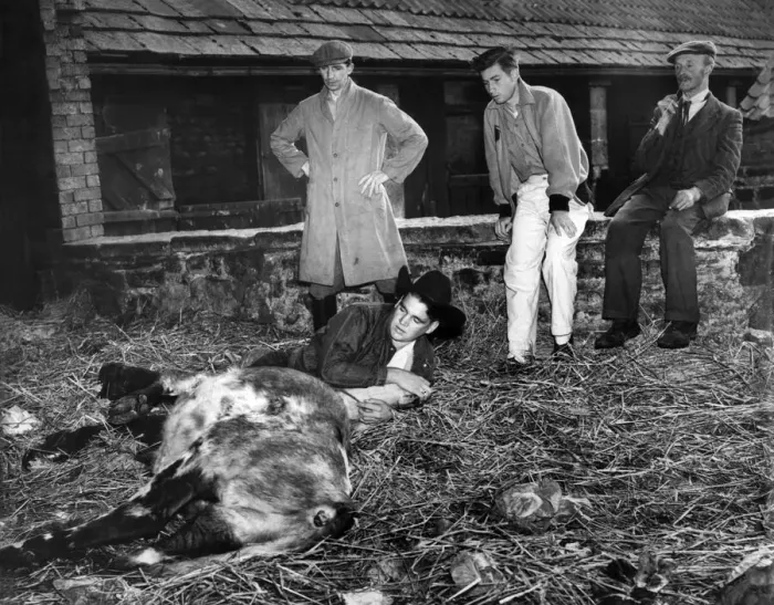 Framed Print : On an exchange visit to Britain arranged by the Young Farmers Federation two of Framed Print : On an exchange visit to Britain arranged by the Young Farmers Federation two of