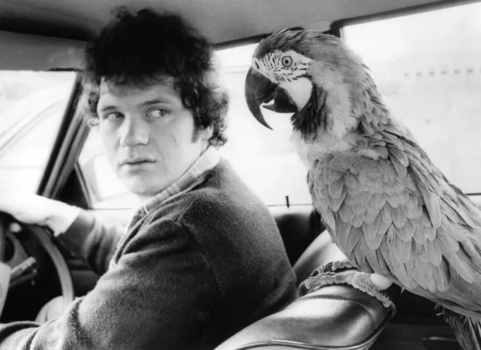 Framed Print : This expensive Macaw has his own chauffeur Framed Print : This expensive Macaw has his own chauffeur
