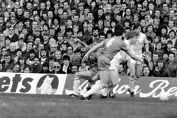 F. A Cup Football. Chelsea 2 v. Tottenham Hotspurs 3. F. A. Cup March 1982 LF08-16-093