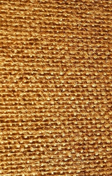 Fabric Texture May 1976