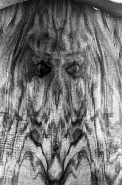 Framed Print : Face on side of wardrobe owned by Sheila Edwards from Deeping St James in Lincolnshire