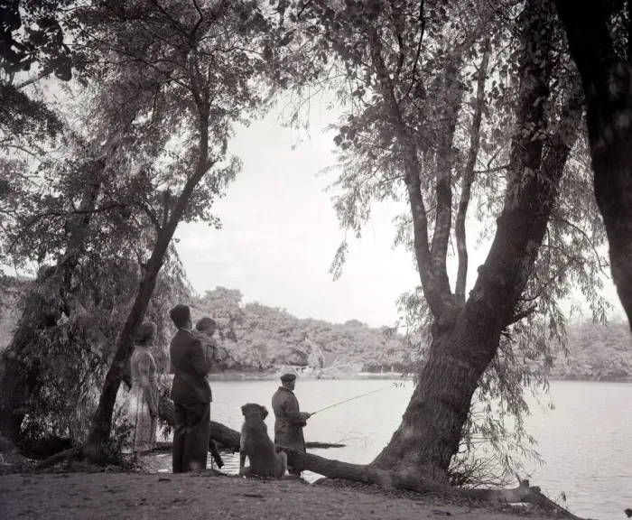 Framed Print : a family out in the countryside, fishing on the bank of a lake 1953 1950s day out Framed Print : a family out in the countryside, fishing on the bank of a lake 1953 1950s day out