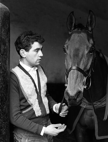 Famous racehorse Arkle standing at the stable door at Tom Dreapers yard