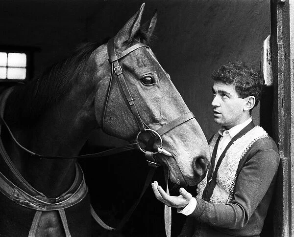 Famous racehorse Arkle being tended by a stable lad Johnny Lumley at the stables of Tom