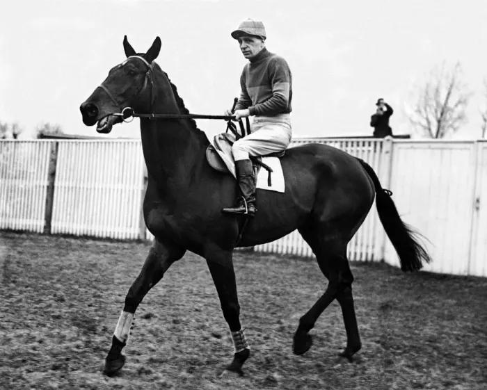 Framed Print : Famous racehorse Golden Miller with jockey G Wilson up, February 1936 Framed Print : Famous racehorse Golden Miller with jockey G Wilson up, February 1936