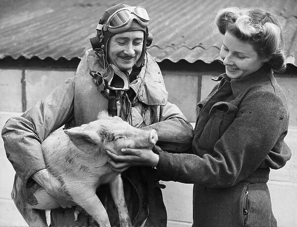 A famous RAF fighter station near London runs its own agricultural section for producing