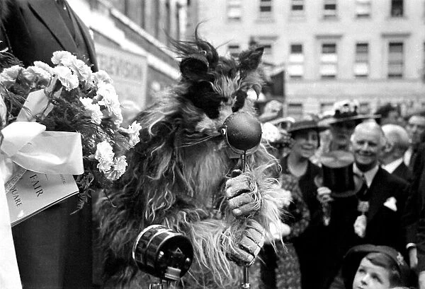 Fancy dress cat speaking into a microphone at Barts Fair circa 1938