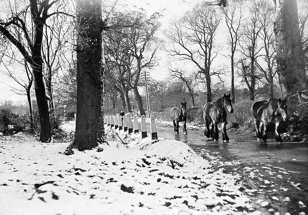 Farm horses pictured in the snow at Shenley, Hertfordshire, January 1935