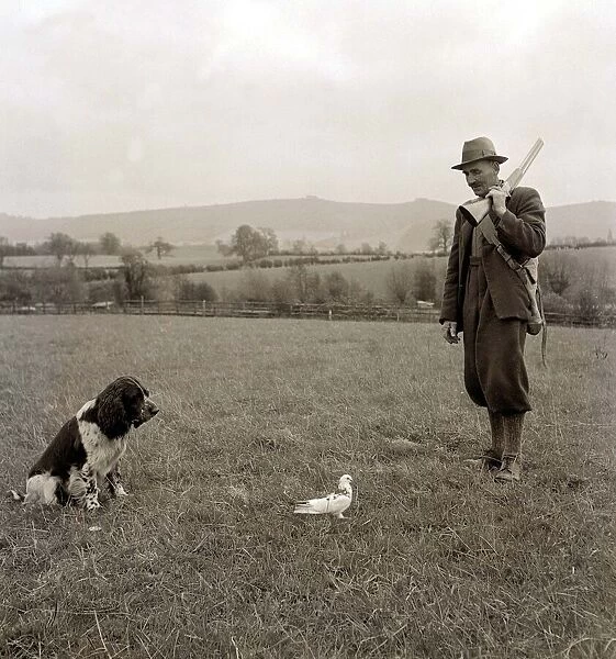 A farmer with his dog watching a bird in front of them circa 1950s