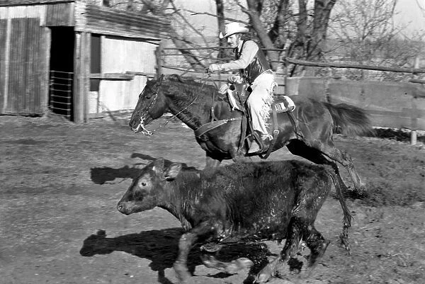 Farmer Bill Frith of Appledore, Kent, in cowboy dress and spurs